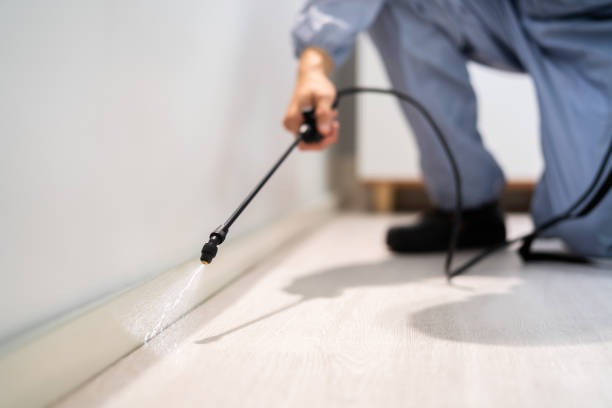 Licensed Pest Control service in Menard County County, IL - Nex Pest Control