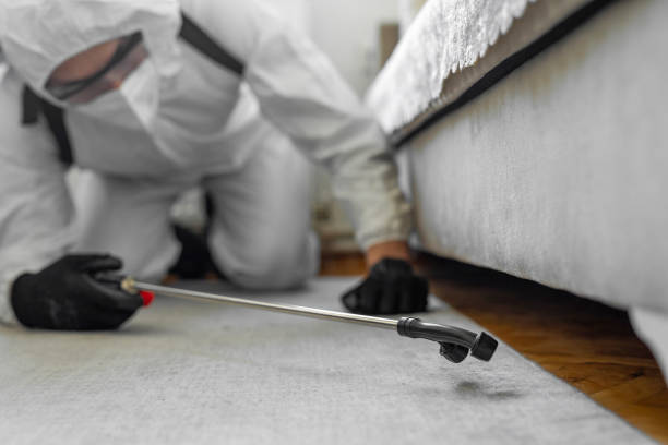 Professional Pest Control technician working in Menard County County, IL